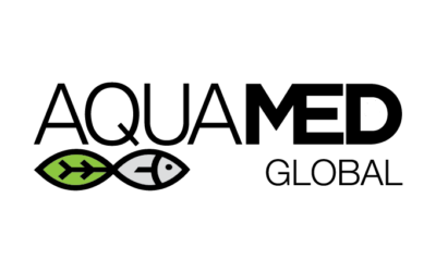 Blog 2 photoshop cc 2019